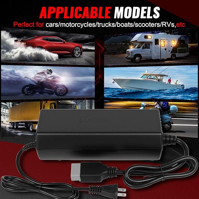 20A 12V LiFePO4 Battery Charger, 14.6V Lithium Battery Charger with M8 Terminals & Alligator Clips, Fast Charging, Over-Current and Over-Voltage Protection for 12V Lithium Iron Phosphate Batteries