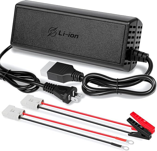 20A 12V LiFePO4 Battery Charger, 14.6V Lithium Battery Charger with M8 Terminals & Alligator Clips, Fast Charging, Over-Current and Over-Voltage Protection for 12V Lithium Iron Phosphate Batteries